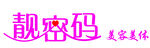 靓密码 logo