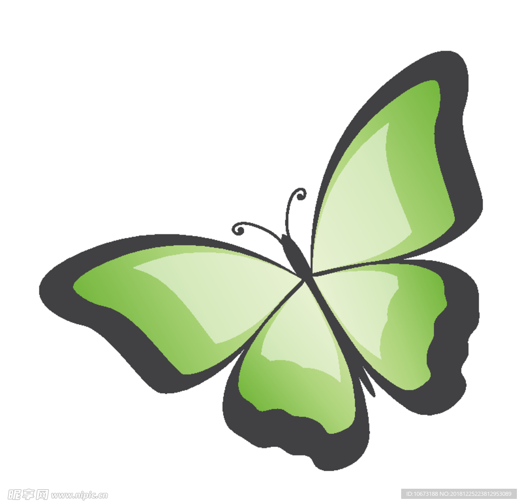 蝴蝶矢量图