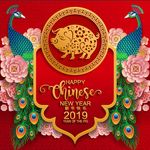 2019春节装饰海报