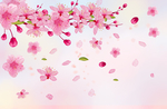 清爽花边海报