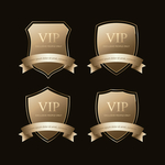 VIP设计图标