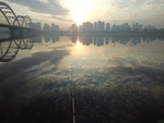 城市