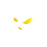 淘宝