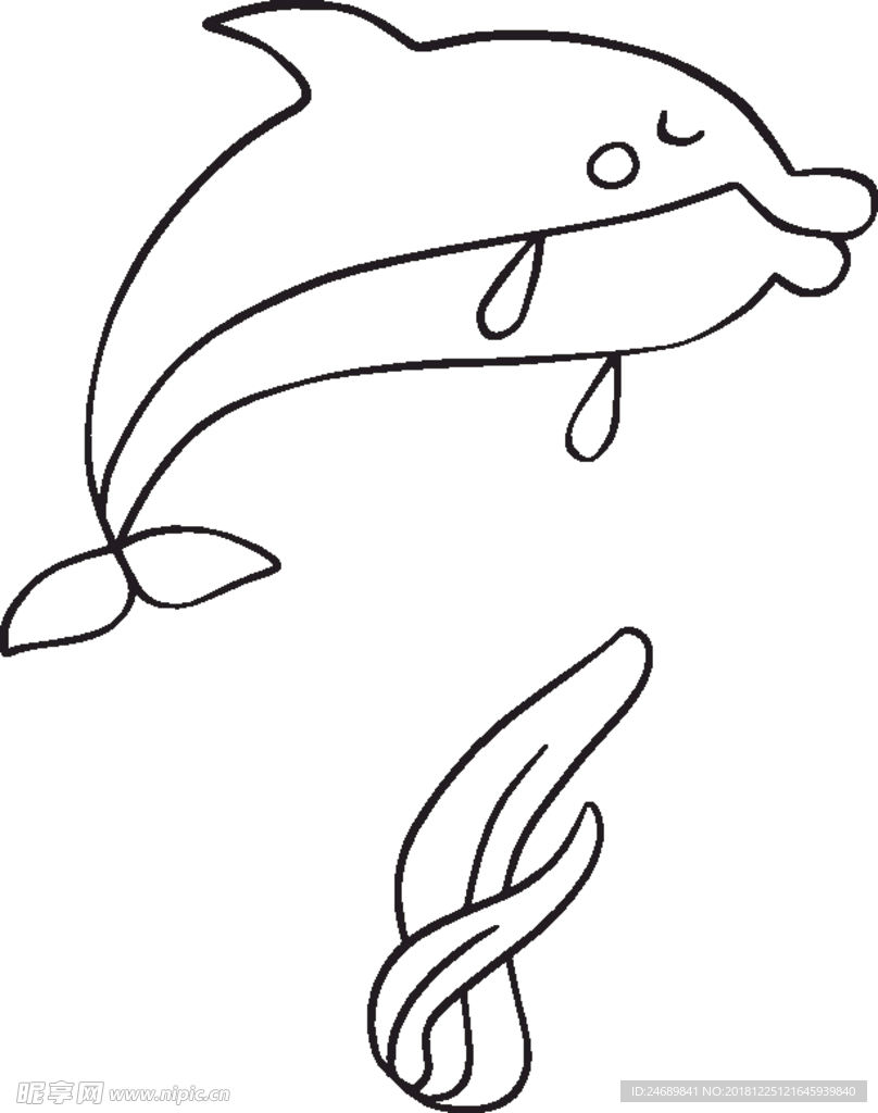 海豚