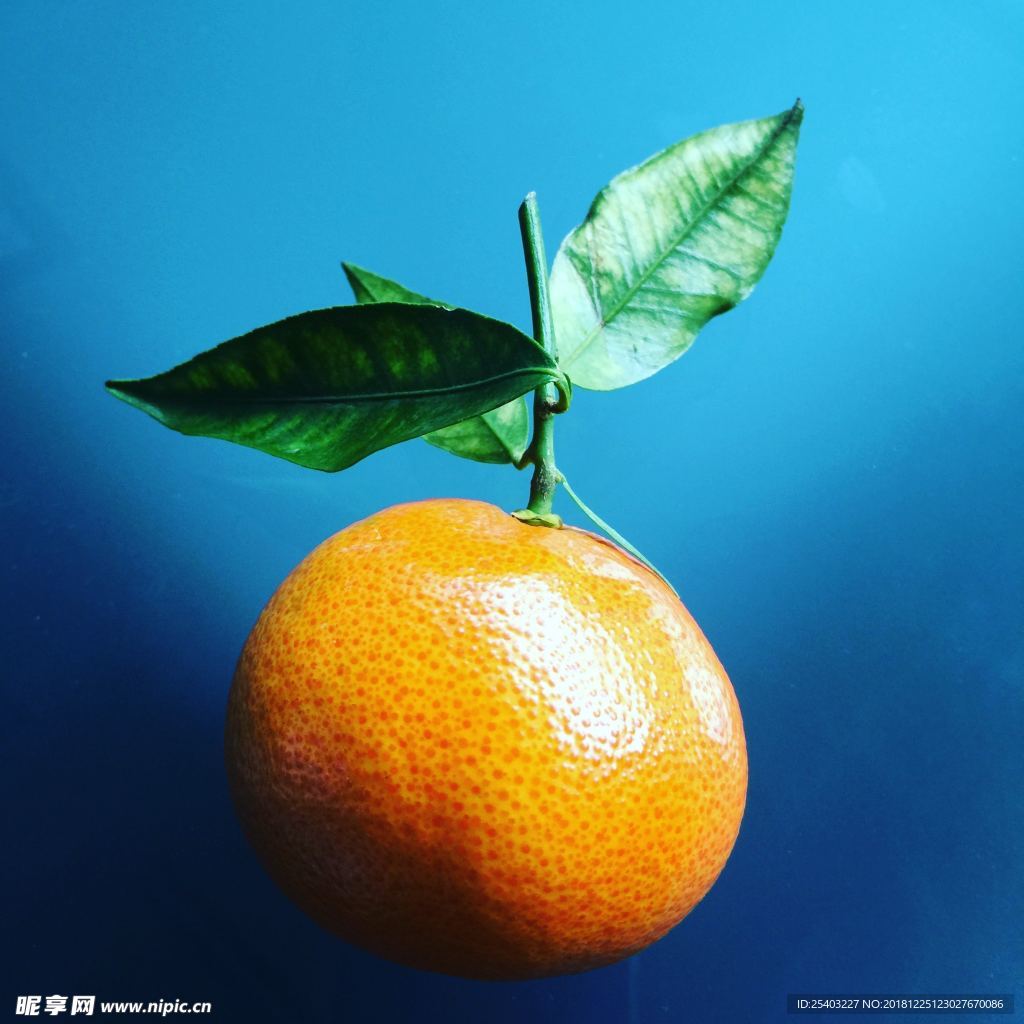 水果