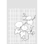 线稿 线描 简洁手绘 手绘画