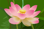 莲花矢量素材