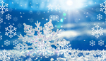 雪花