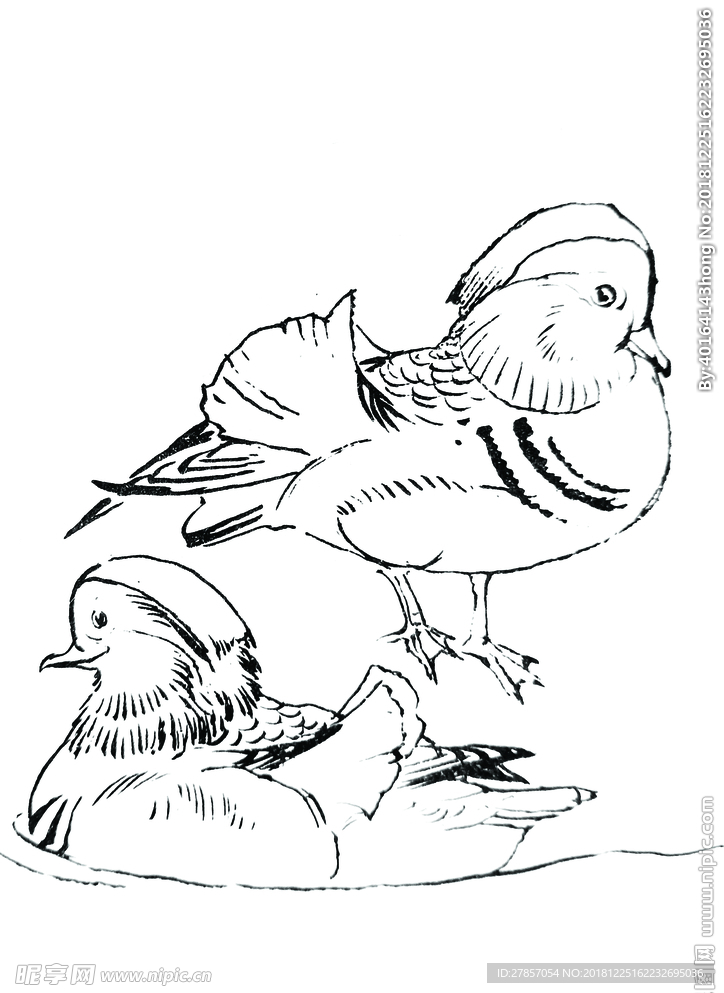 鸳鸯