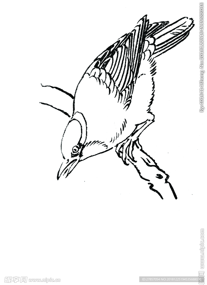 黄鹂