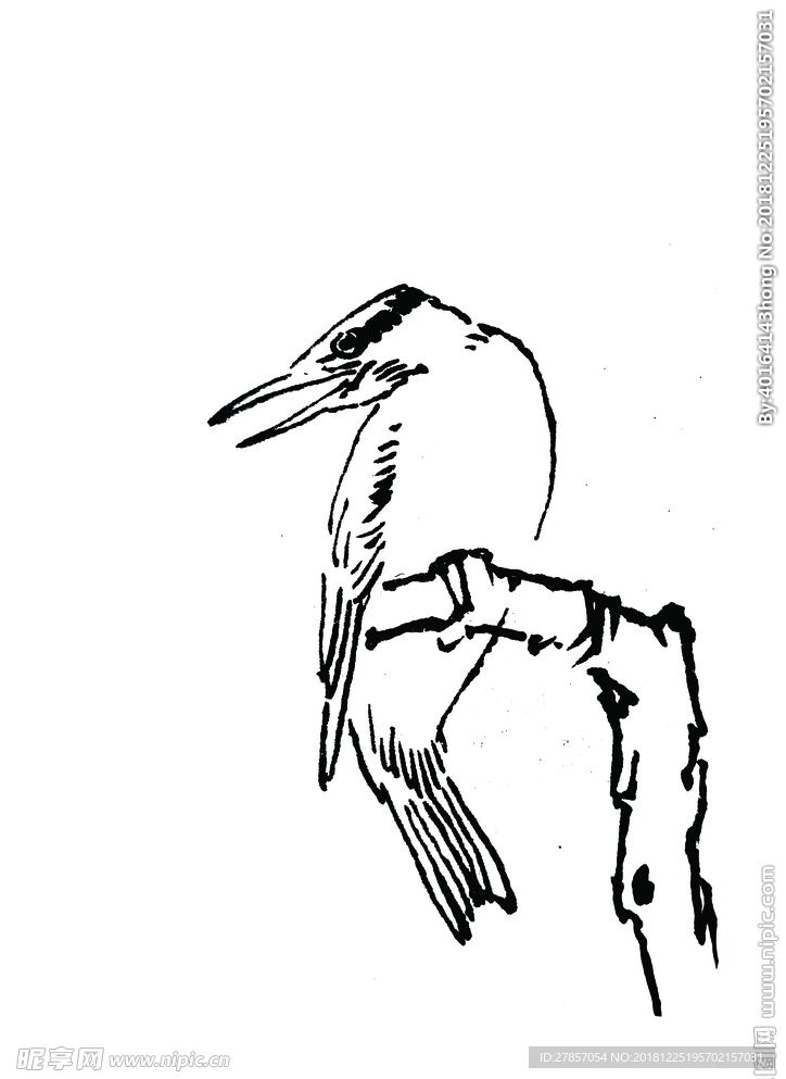 黄鹂