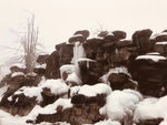 雪景