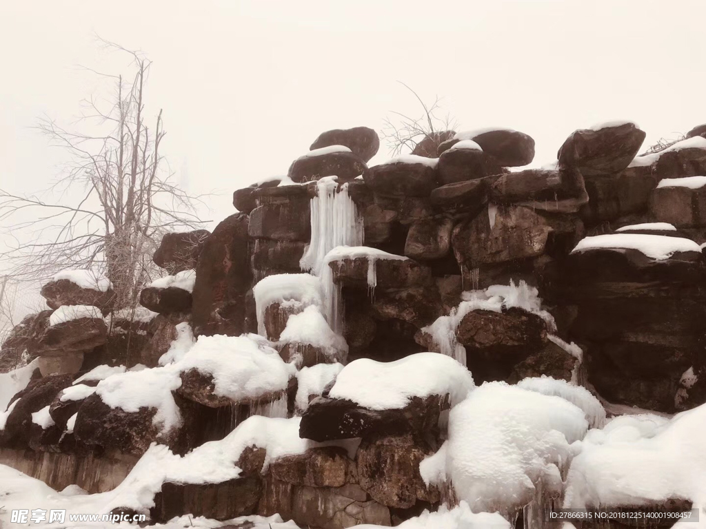 雪景