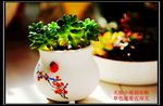 小花