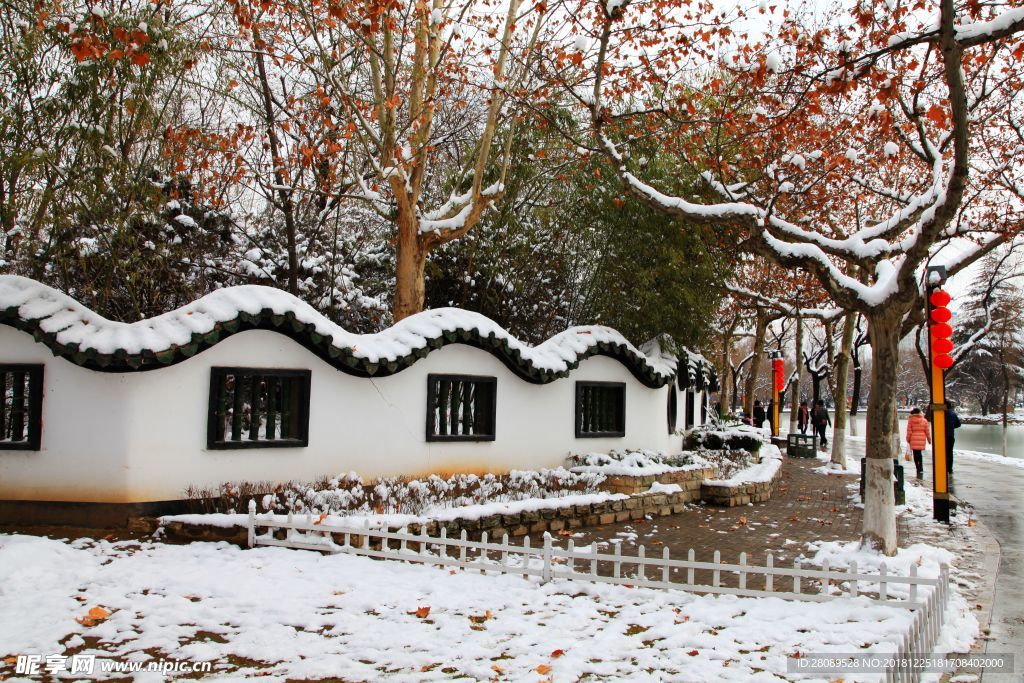 冬雪