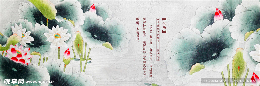 荷花