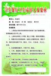 学校餐厅卫生责任人及要求