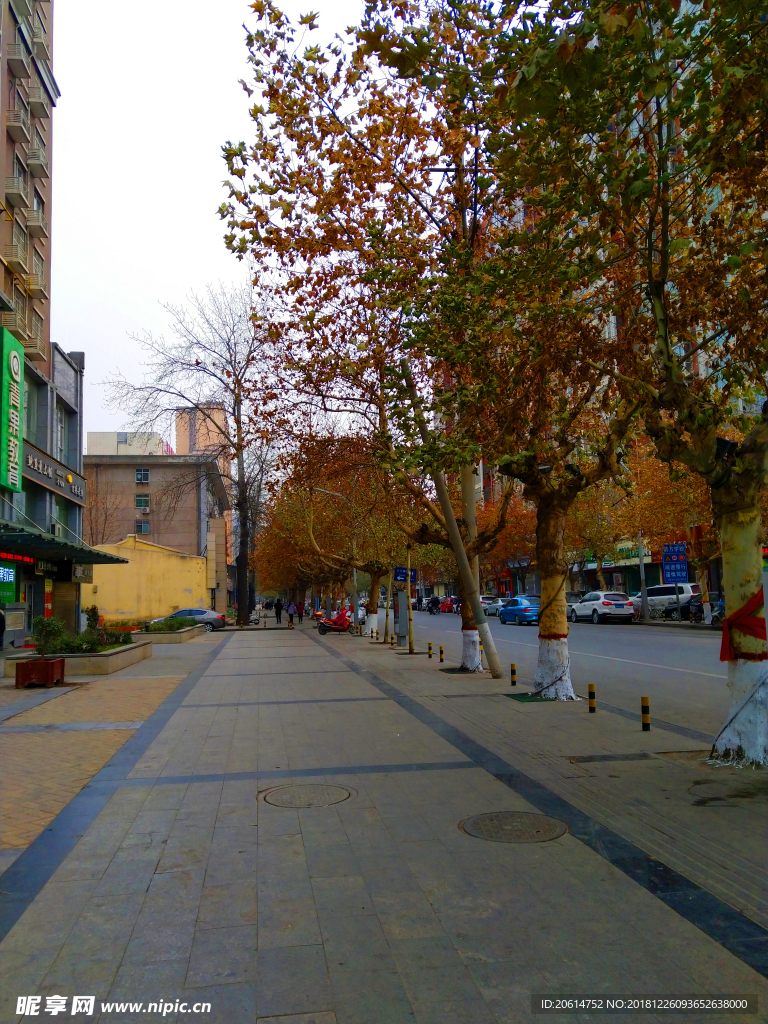 城市道路风景