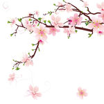 桃花树枝