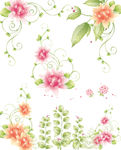 小清新花卉花边
