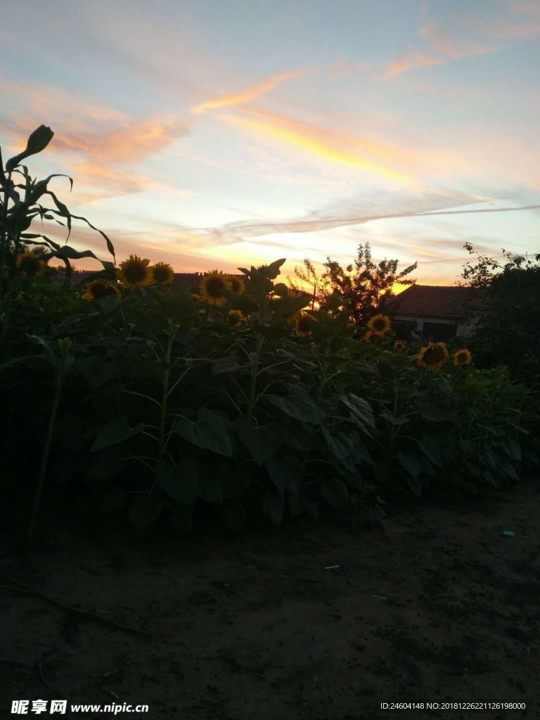 夕阳
