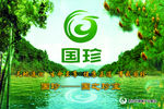 国这珍宝