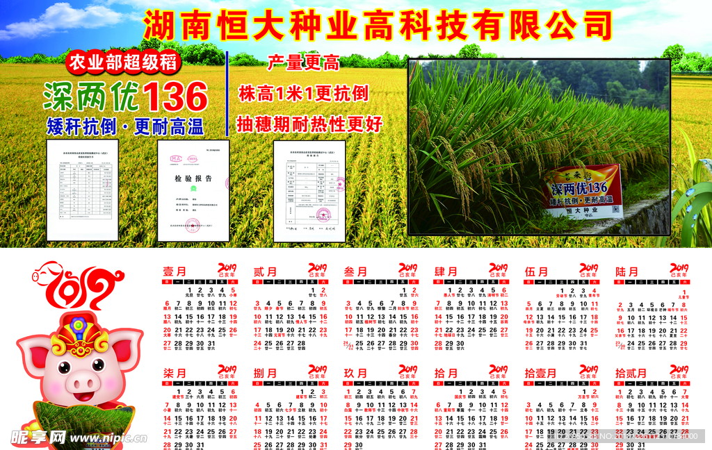 水稻日历成熟金色版