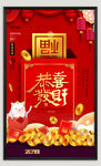 猪年春节