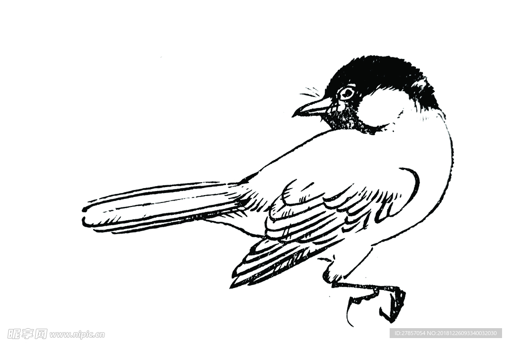 山雀