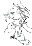 鸟