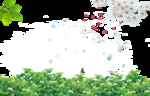 透明花背景 创意设计 矢量图