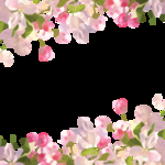 透明花背景 创意设计 矢量图