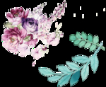 透明花背景 创意花设计 矢量花