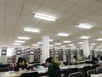大学图书馆摄影图大学学生