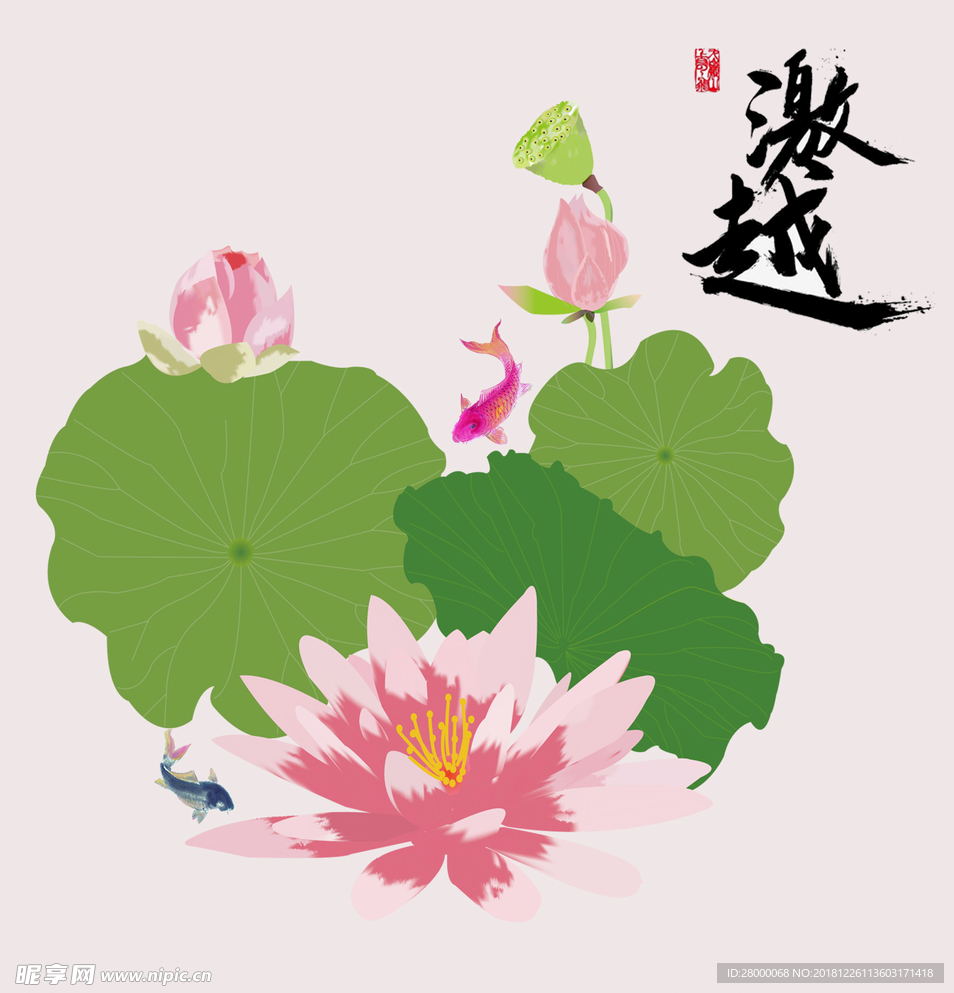 荷花