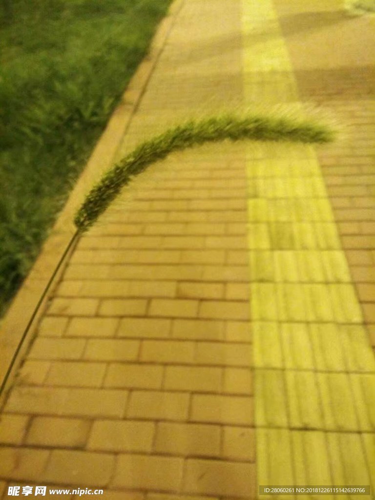 草