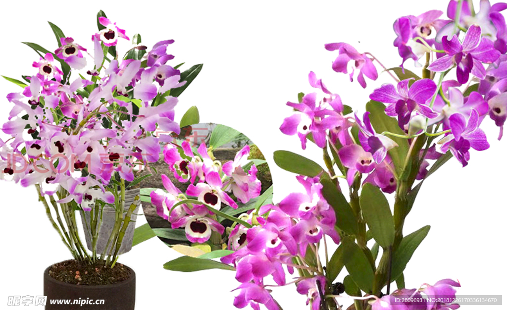 花