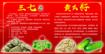 三七 黄瓜籽