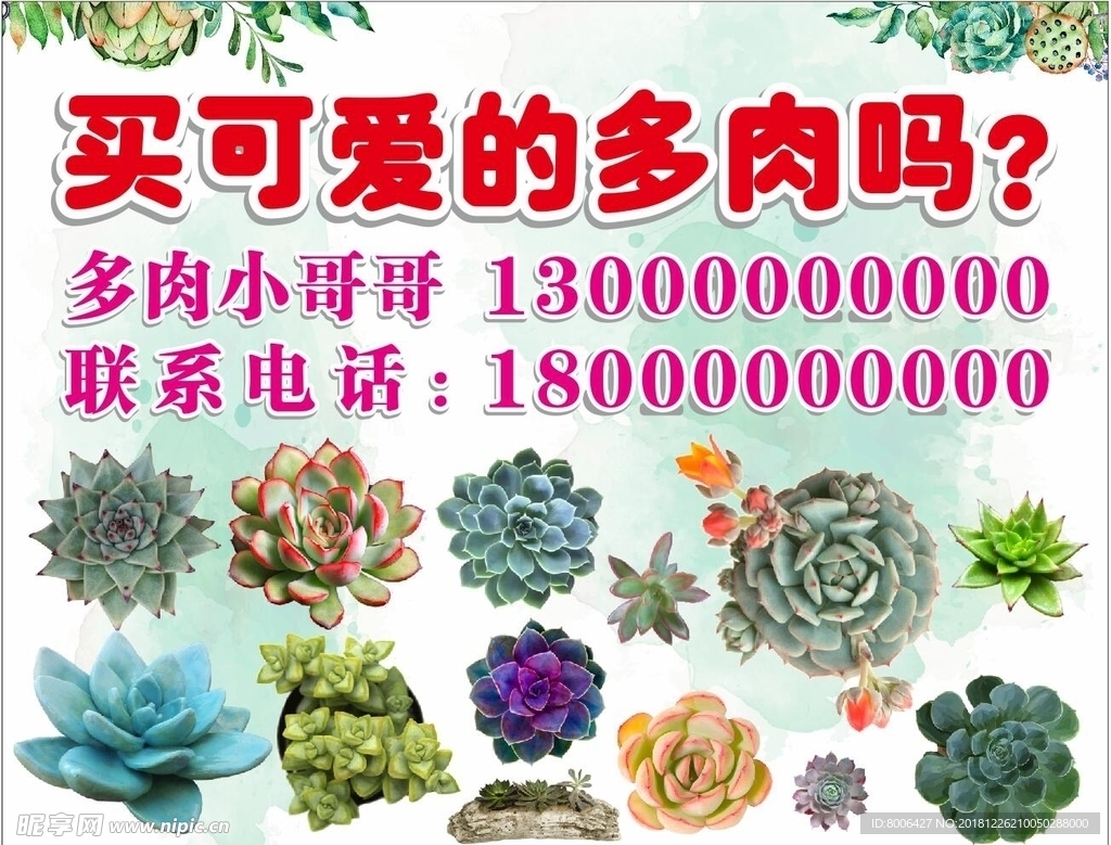多肉海报