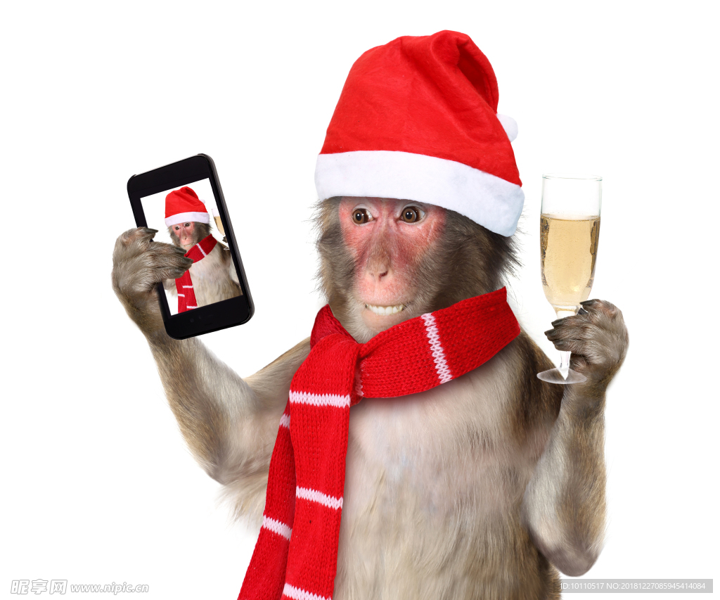 猴子  宠物  手机  圣诞