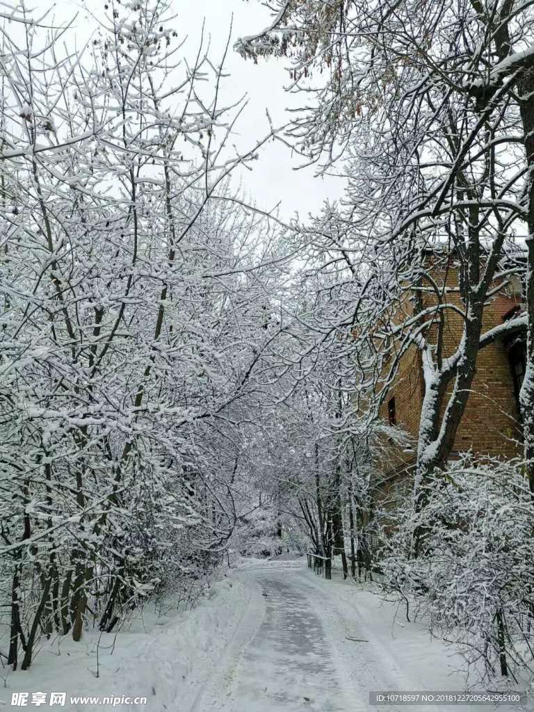 雪景