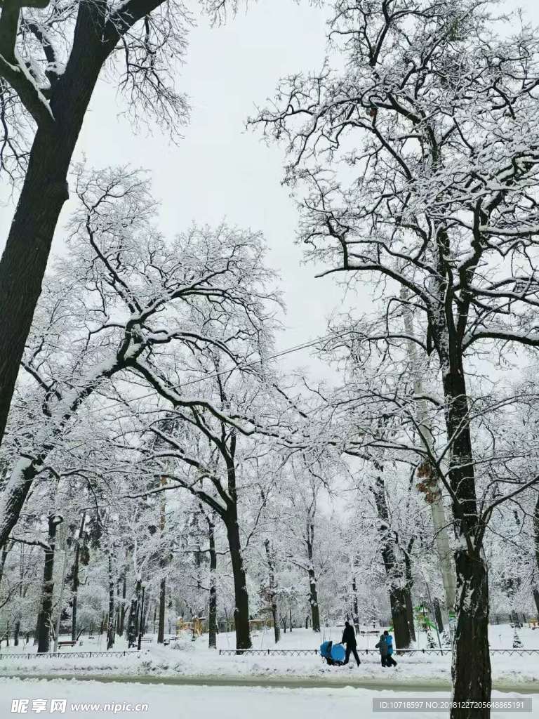 雪景