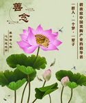 荷花 善念