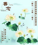 荷花