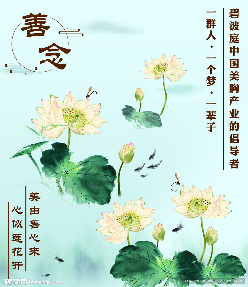 荷花