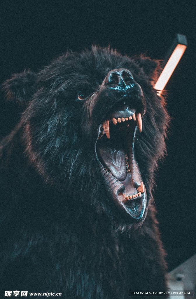 怒吼的熊