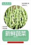 豆角海报