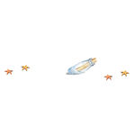 海星