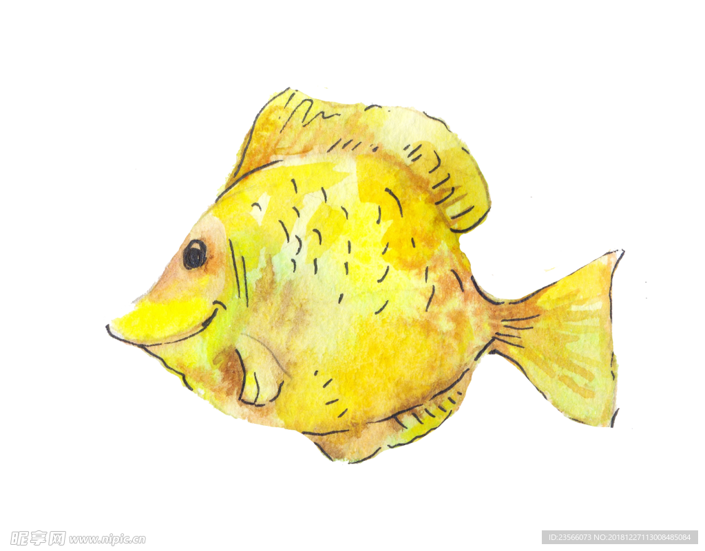 黄色手绘鱼类图案