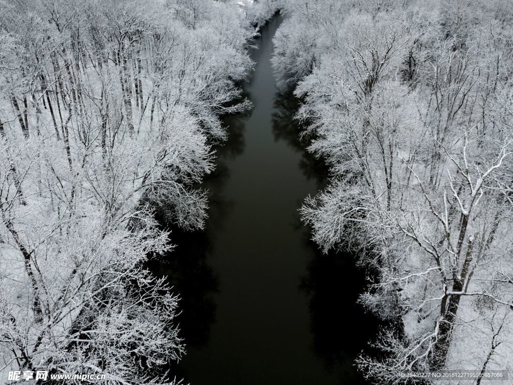 雪地